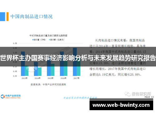 世界杯主办国赛事经济影响分析与未来发展趋势研究报告