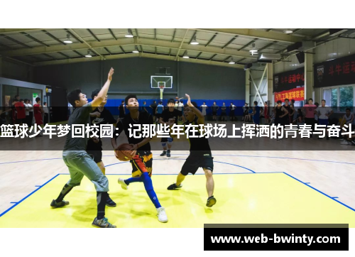 篮球少年梦回校园：记那些年在球场上挥洒的青春与奋斗