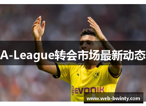 A-League转会市场最新动态