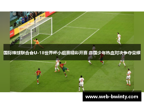 国际棒球联合会U-18世界杯小组赛精彩开赛 各国少年热血对决争夺荣耀