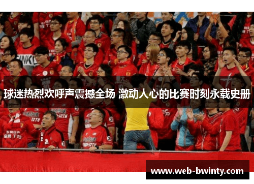 球迷热烈欢呼声震撼全场 激动人心的比赛时刻永载史册