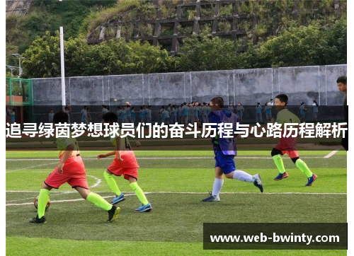 追寻绿茵梦想球员们的奋斗历程与心路历程解析