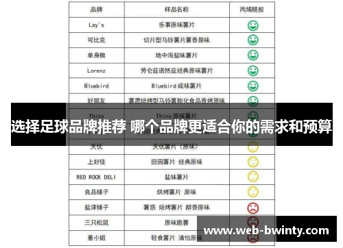 选择足球品牌推荐 哪个品牌更适合你的需求和预算