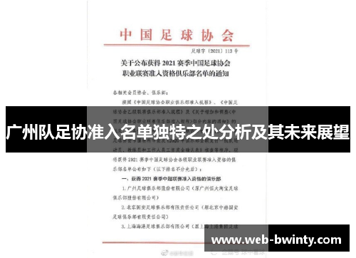 广州队足协准入名单独特之处分析及其未来展望
