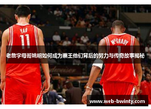 老詹字母哥姚明如何成为票王他们背后的努力与传奇故事揭秘