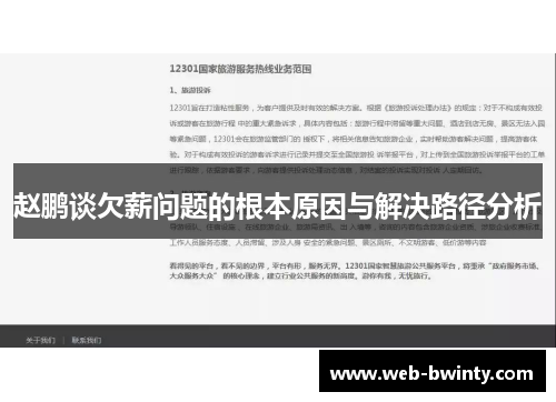 赵鹏谈欠薪问题的根本原因与解决路径分析