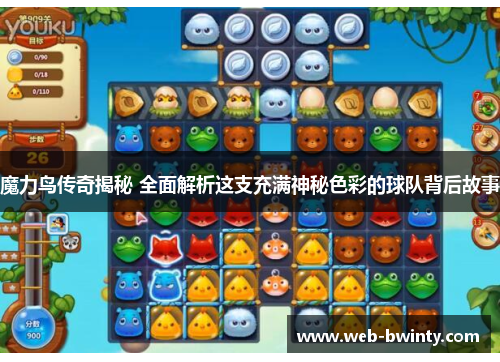 魔力鸟传奇揭秘 全面解析这支充满神秘色彩的球队背后故事